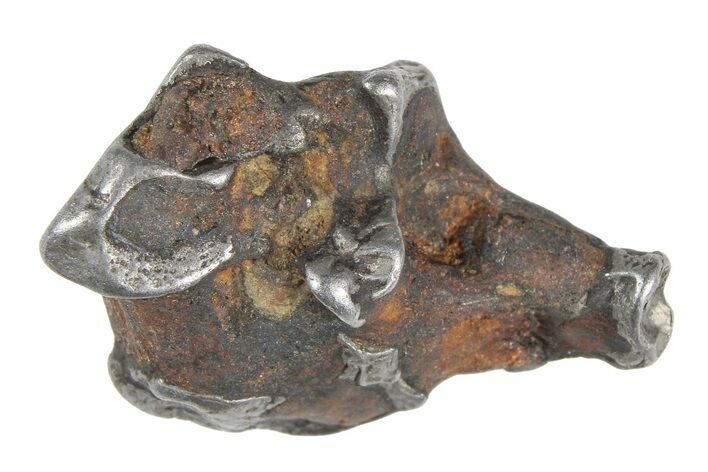 Sericho Pallasite Meteorite ( g) Metal Skeleton #383188